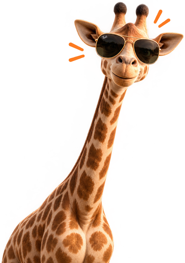 Safari Car Wash
